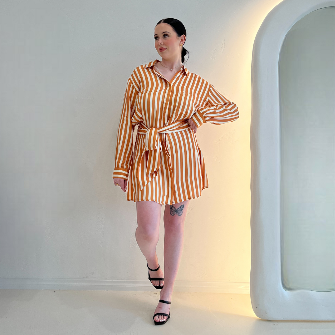 Palm Collective Life of Pie Shirt Dress